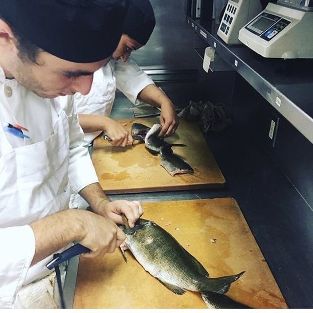 JOEYCareers's tweet photo. These #culinaryapprentices practice the skill of filleting a fish. Learn to #MasterYourCraft @JOEYRestaurants! #TheWayWeCook #ChefLife https://t.co/FTGvUZGPUt