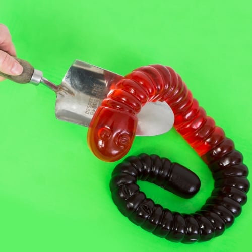 PinkSumo's tweet image. Giant 1KG Gummy Worm. Don't forget you still have time to order for FREE Christmas delivery! bit.ly/2h2wNEh #xmasgifts #christmas