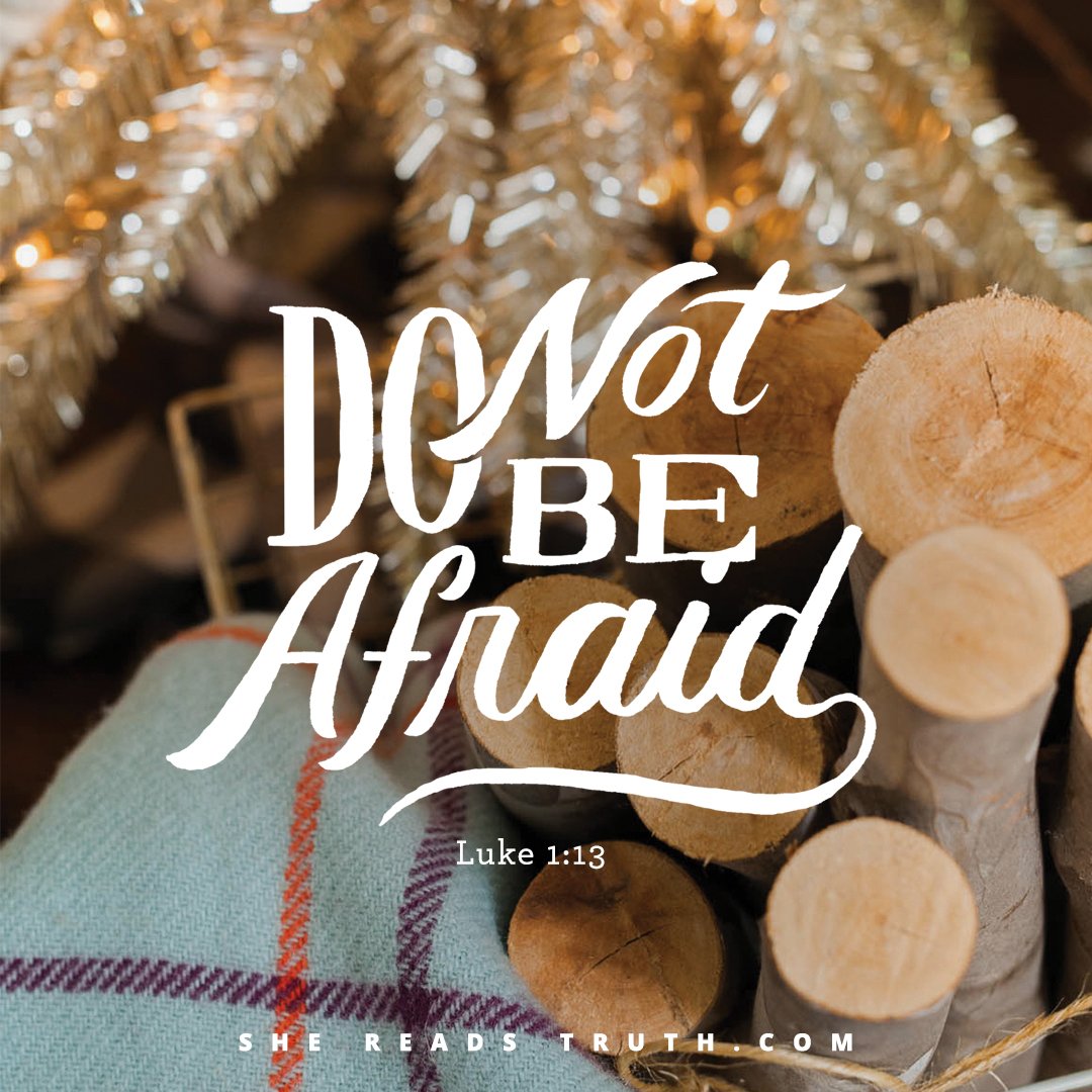 SheReadsTruth's tweet image. The Birth of John the Baptist Foretold
shereadstruth.com/2016/12/19/the…