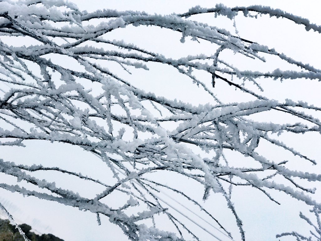 Would you fall in love with me if I took you back to my home in the north to show you the winter snow?