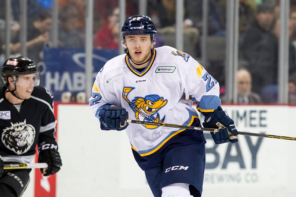 Toledo Walleye tweet media