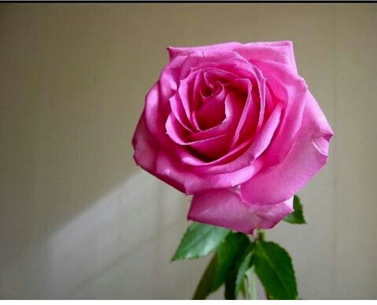 mrt8463's tweet photo. @o5as3 @rabab0905 https://t.co/8ixqNoLpN8