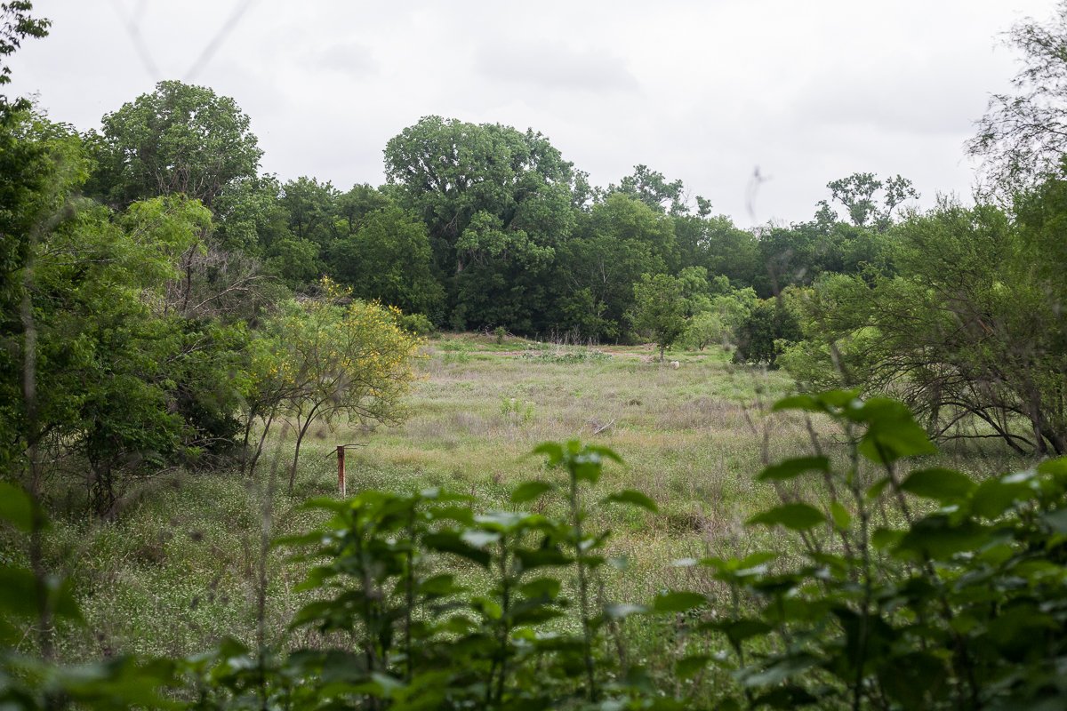 EcologyActionTx's tweet photo. #CircleAcres has over 150 native plants, wildlife, and birds.
Join us as we steward this natural urban amenity. https://t.co/XFmInXSqnJ https://t.co/8RmGTYzOGP