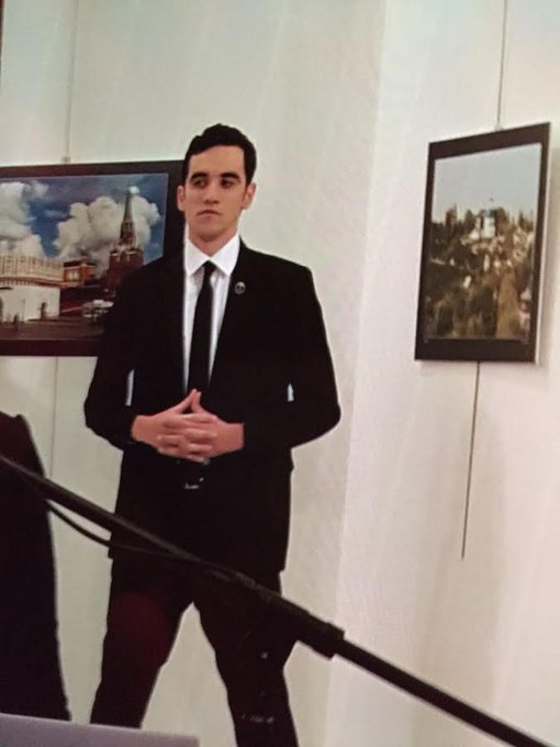 View image on Twitter