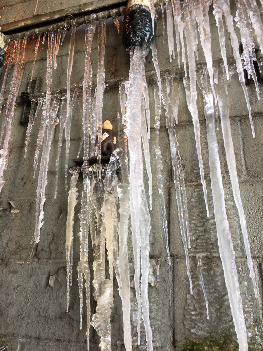 MaverickUPSsafe's tweet photo. 🎤Maverick it's cold outside🎼! Watch for icy conditions. #slipsandfalls #ice #texascold #redriversafety #maverickthesafetystud https://t.co/QuJvhkSQxp