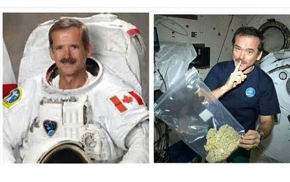 RxLeafMD's tweet photo. Get you a man that can do both https://t.co/obRZZ4NoBy