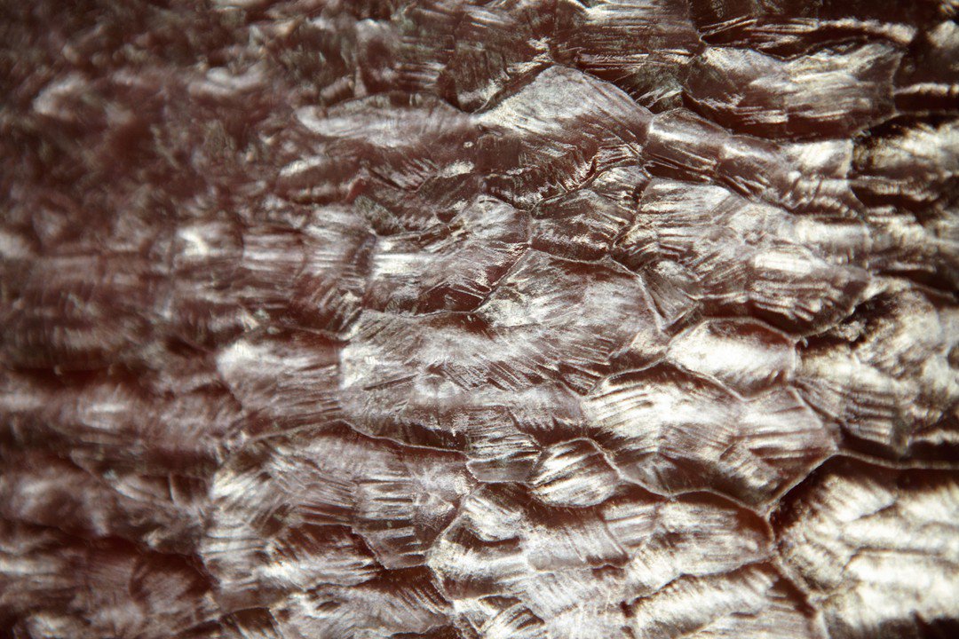 MIRROLLI's tweet image. Наскучил вид за окном, а комната смотрится серой и невзрачной? Витраж от MIRROLLI - станет отличным решением для украшения Вашего интерьера!