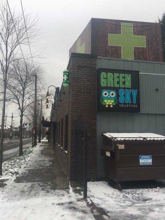 Green Sky Collective tweet media