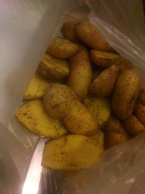 ZADbIXAUSb's tweet photo. Картошенька.В ожидании вкусняшки[2] https://t.co/s4txZW7WU1