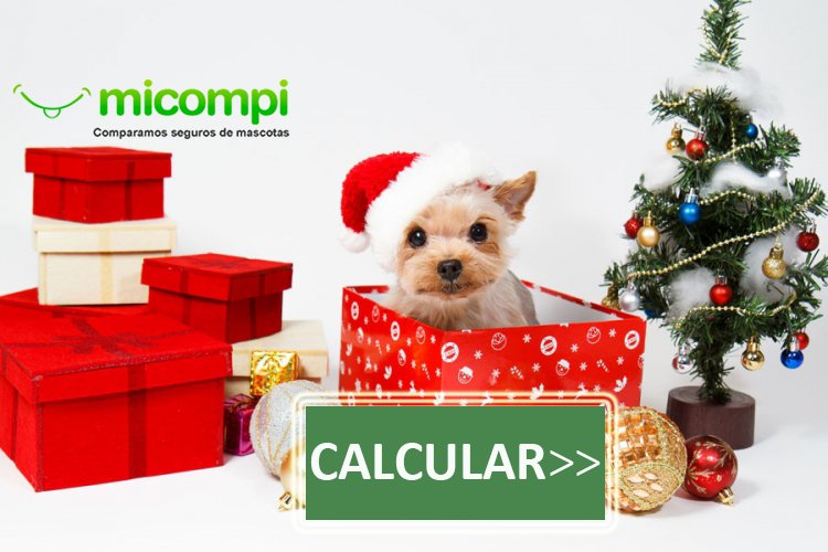 MicompiCom's tweet image. Hazle un Seguro antes de #Adoptarlo

micompi.com