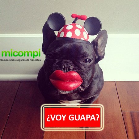 MicompiCom's tweet image. Mi conjunto rojo de Noche Vieja. ¿Qué te parece?
Aquí micompi.com