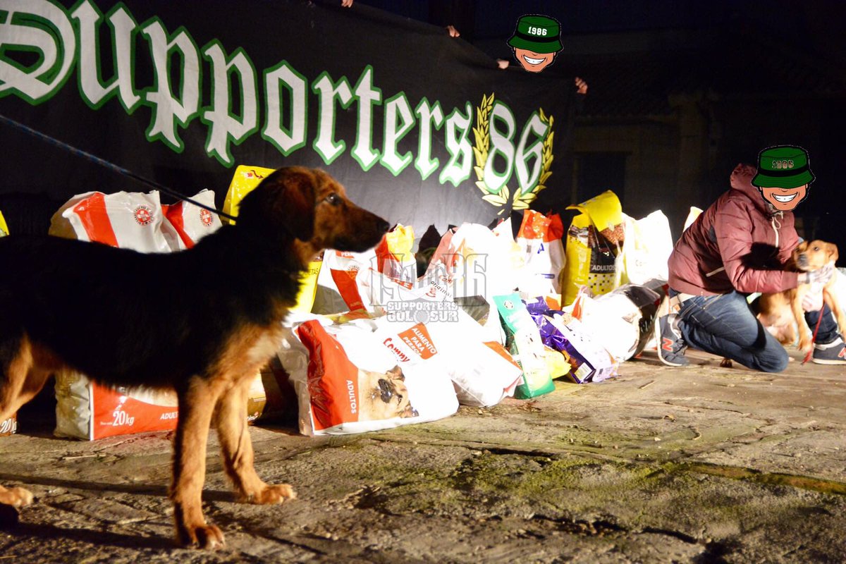 Supporters Gol Sur tweet media