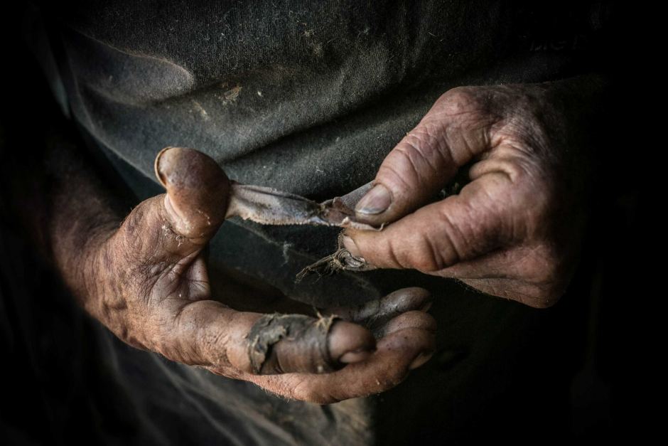 abclandline's tweet photo. Some amazing regional and rural pics in this week's @abcopen pic of the week gallery https://t.co/lbtqIbUus3 https://t.co/S8KoXAqRYq