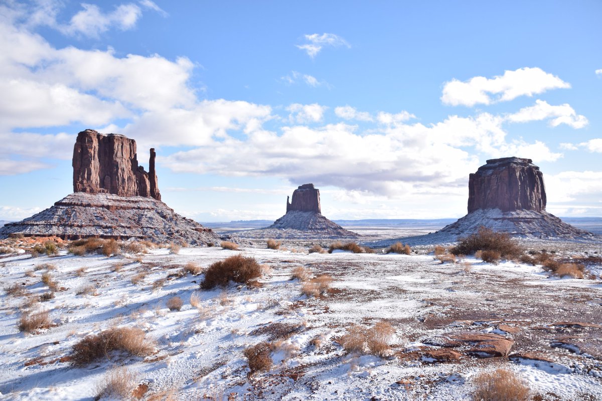 Katie Mogowski tweet media