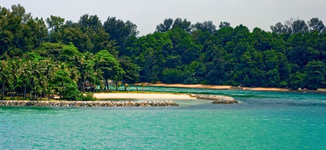 divecavecom's tweet photo. #Hello #Singapore: #Skyscrapers and #Scuba #Diving https://t.co/e7UFraO6nq https://t.co/mT7Be5jl8y