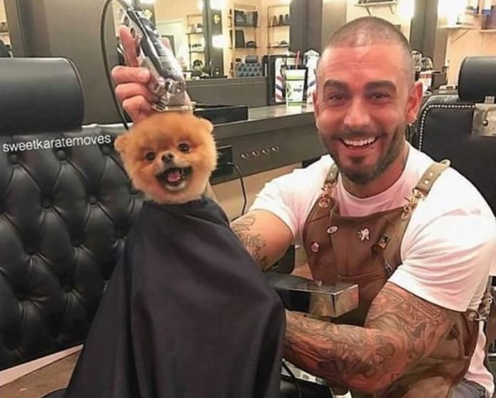 RespectfulMemes's tweet image. Barber: What do you want?

Him: To be a Good Boy

Barber: Say no more