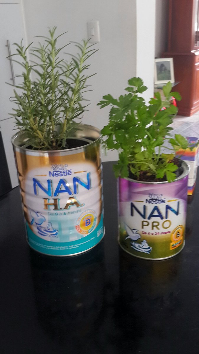 thibisay0201's tweet photo. Hierbas de cocina en estas lindas latas de fórmulas @NestleContigo #NanPro #NanH.A
#LunesDeGanarSeguidores. 🍼🎄⤵ https://t.co/djGzMgePwN