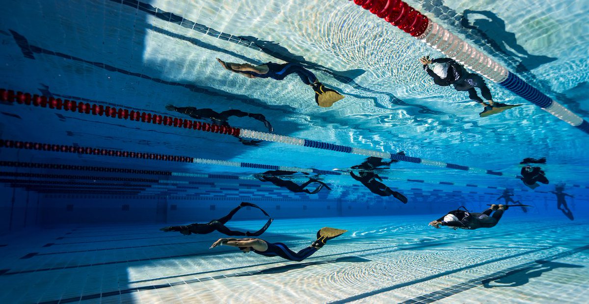 divecavecom's tweet photo. #DaanVerhoeven – #Underwater #Photographer and #PADI #MasterFreediver #Instructor https://t.co/1fHs7wIqJb https://t.co/GvqcjYcso6