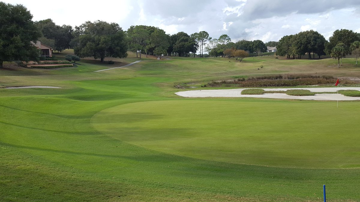 TurfBeard's tweet image. #16 @harborhillscc looking pretty good.
#turflife #turfnerd #optoutside