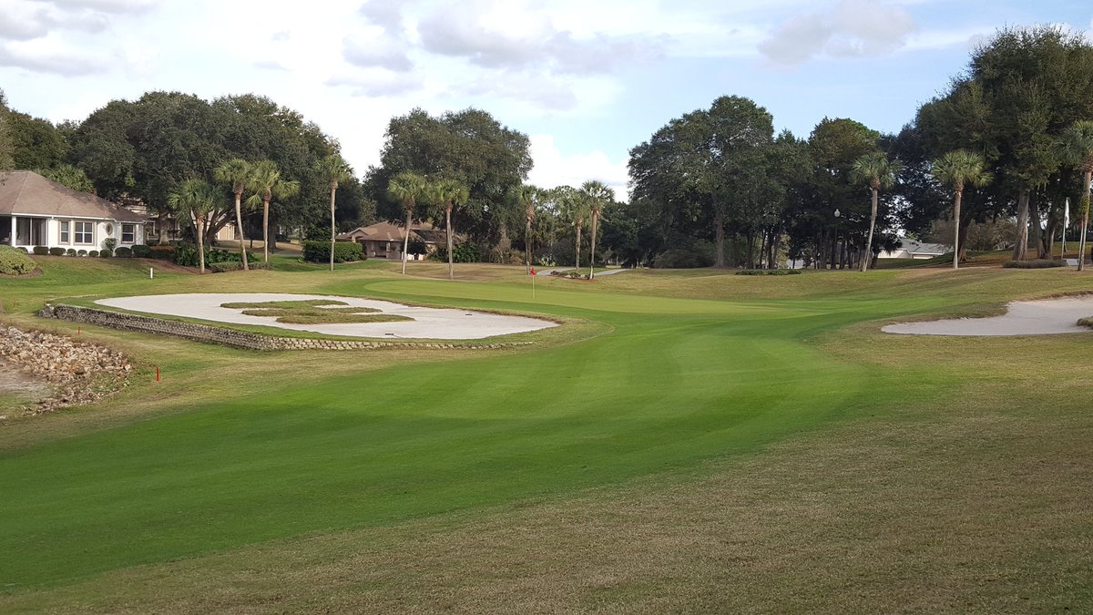 TurfBeard's tweet image. #16 @harborhillscc looking pretty good.
#turflife #turfnerd #optoutside