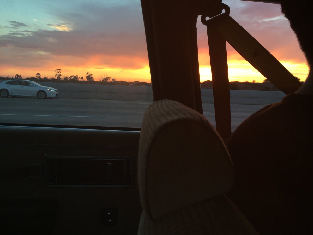 patchshit's tweet image. 