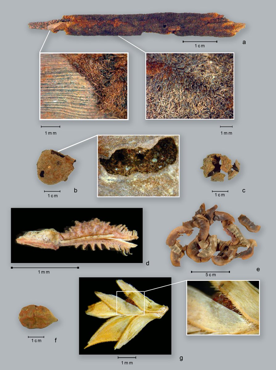 Ver imagem no Twitter Ver imagem no Twitter