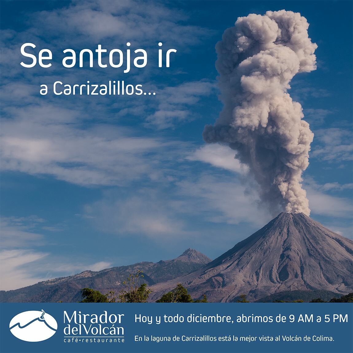 miravolcan's tweet photo. Abrimos todos los días de diciembre, de 9 a 5 de la tarde https://t.co/qPv3ourjUF