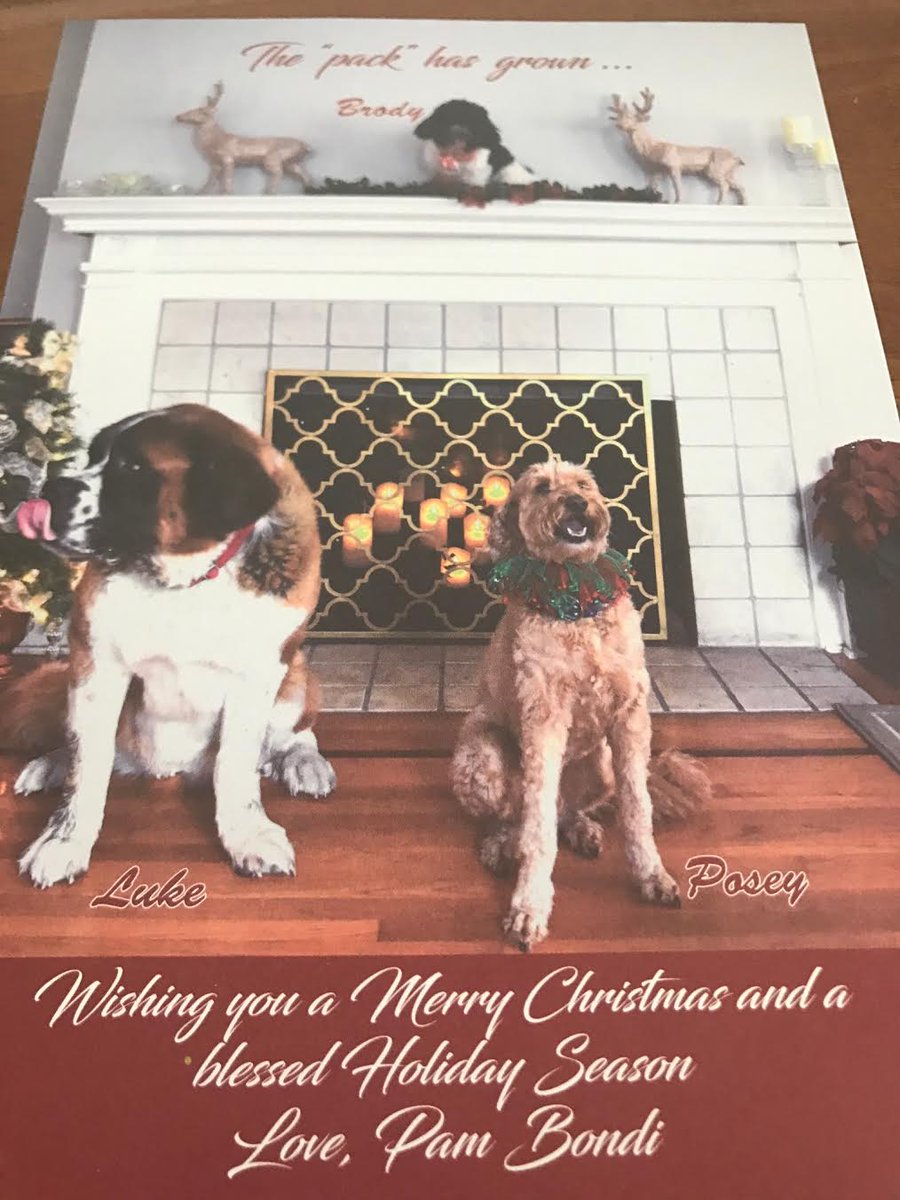 BREAKING: Florida Attorney General <a href="/PamBondi/">Pam Bondi</a> NOW HAS 3 DOGS!

“The pack has grown,” says Bondi.