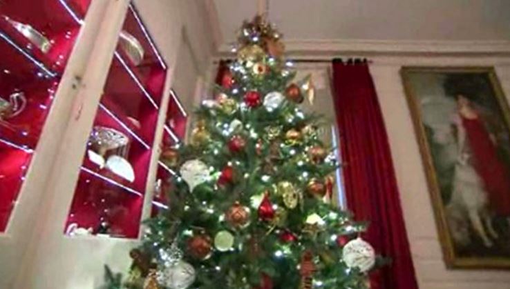 Deadly snake imitates tinsel on Australian Christmas tree bit.ly/2hBgK0O https://t.co/2bgFxc1saE
