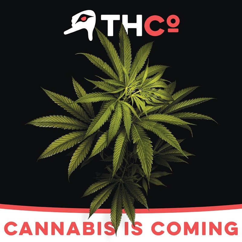 TurnagainHerbCo's tweet photo. Later this winter, legal #cannabis will be available in #Girdwood #AK!
https://t.co/N3OGYrXKPr
#THCo #GirdwoodTHC #marijuana #snowboard https://t.co/8GDLzptUBh
