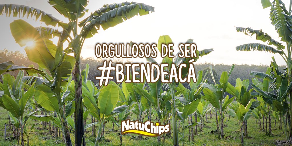 Porque nuestro sabor viene directamente del campo a tus manos. ¡Disfrutemos de lo nuestro!