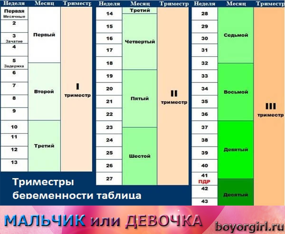 Ответы Mail.ru: 8 месяцев ровно это сколько недель?