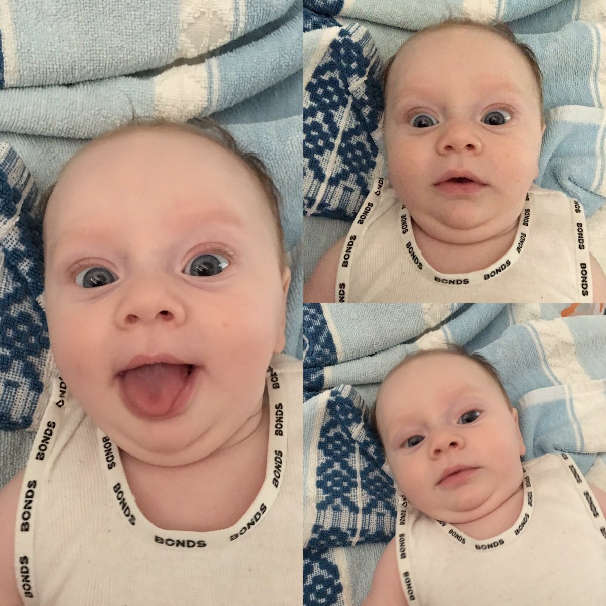 Jay Simpson tweet media