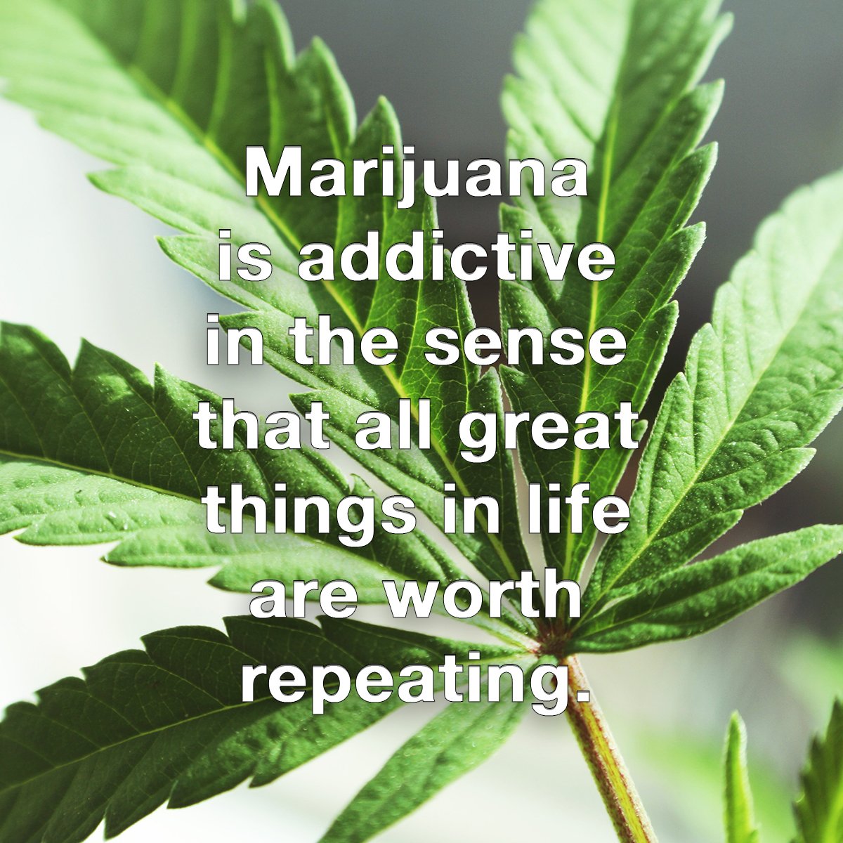 HighBrandMedia's tweet photo. Some good advice from @Zootology_Let us help you hit repeat with our lineup of goods. https://t.co/EhXA2iGmyN