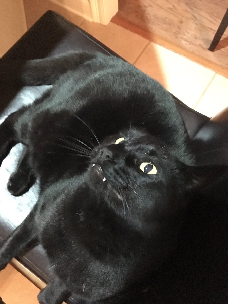 Lilbug693's tweet photo. wasabi https://t.co/LA1Uit2q1b