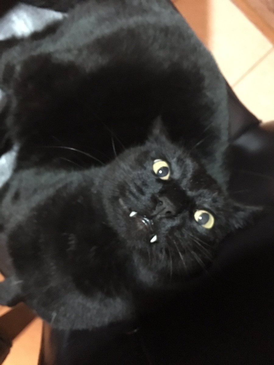 Lilbug693's tweet photo. wasabi https://t.co/LA1Uit2q1b