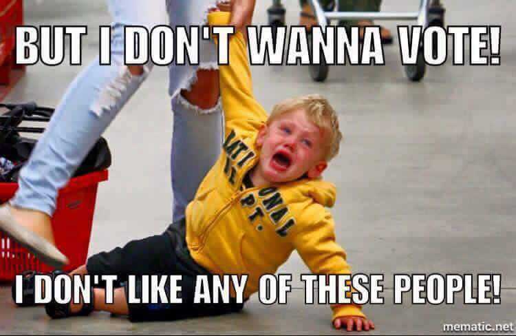 EndoplasmicRe12's tweet photo. Every voter before they realize the Rough Endoplasmic Reticulum is on the ballot.
#OrganelleVote2016 https://t.co/8zNYVJobys