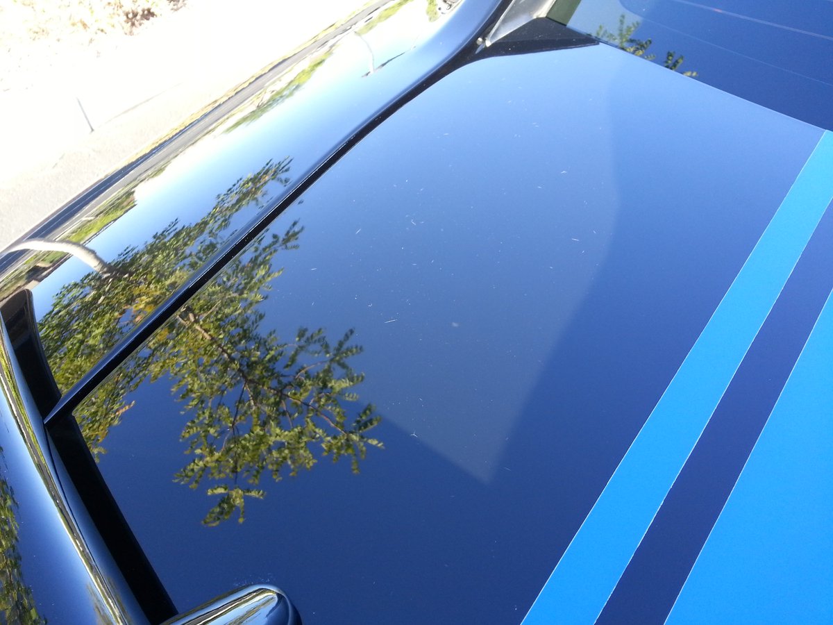 gtmcl's tweet photo. There's @FiatChrysler_NA @Dodge junk on my trunk (and everywhere else).
#factorypaintdefects
#ThatsMyDodge
#customercareless
#Unresolved https://t.co/KvrceI97Tf
