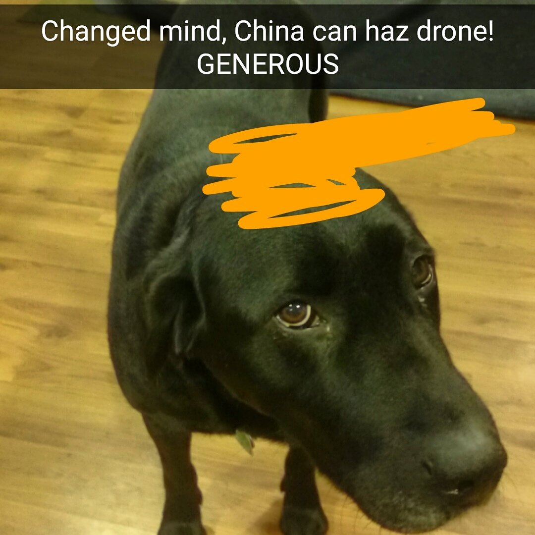 RealDogTrumps's tweet photo. Changed mind, China can haz drone! #GENEROUS #presidentstuff #DogTrumps #China #drone https://t.co/S1f3Jd61EG