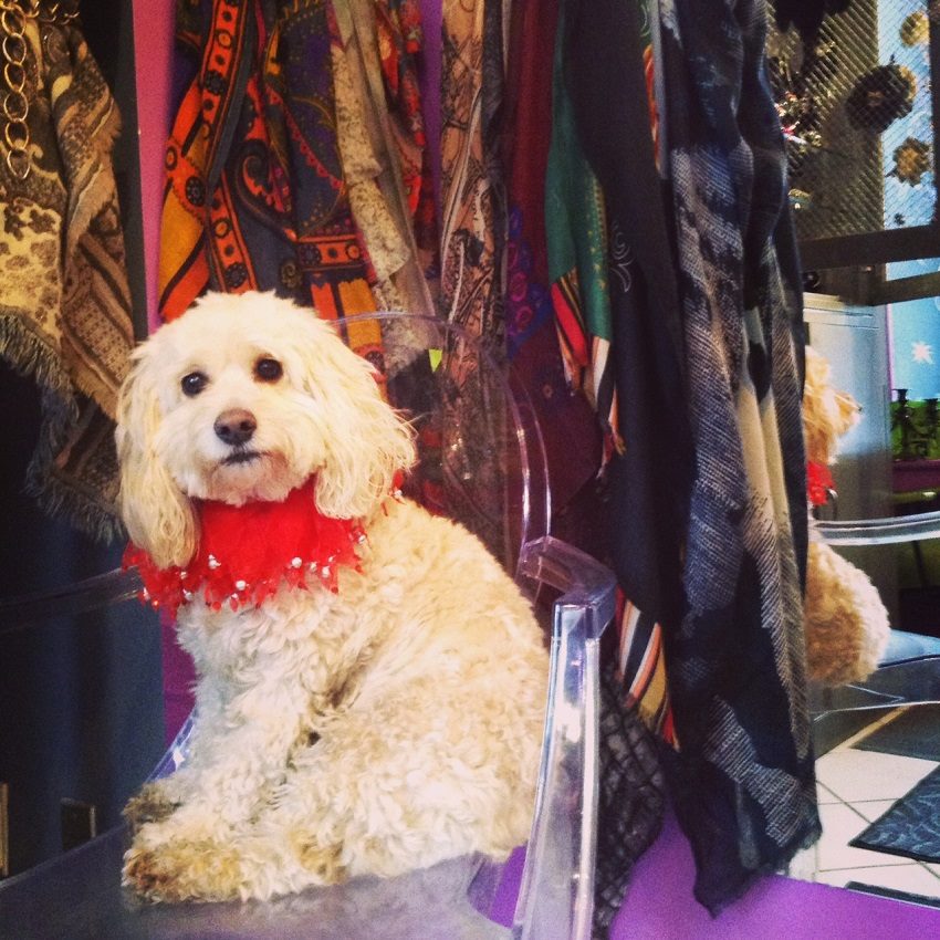 Ready to greet you this holiday season  #pearlatstunning #greeter #customerservice #ottawa @ByWardMarketBIA