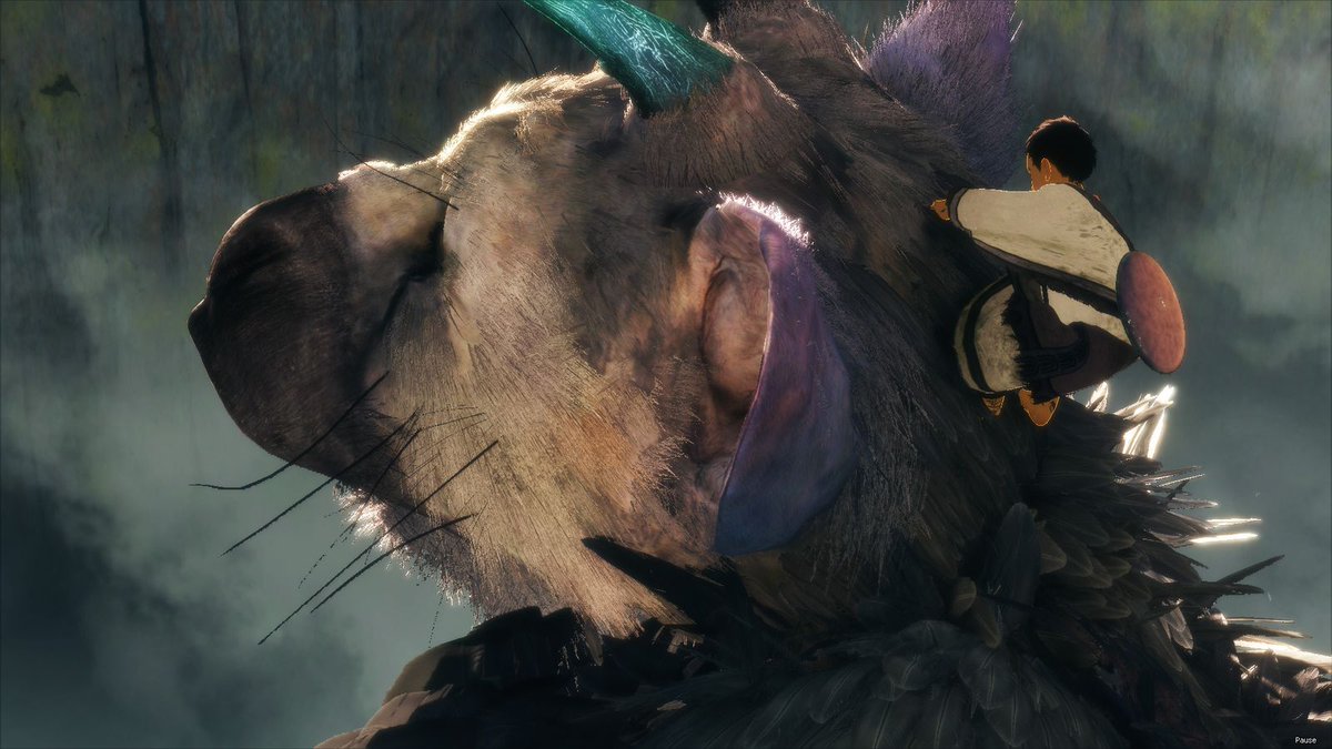 DailyTrailersUS's tweet image. The Last Guardian review polygon.com/2016/12/5/1376…