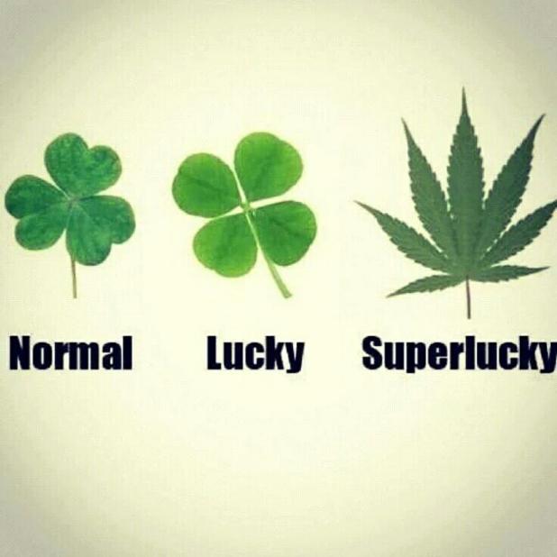 420's tweet photo. Luck would have it, it's 4:20 somewhere rn... https://t.co/WdgzCGp1Am