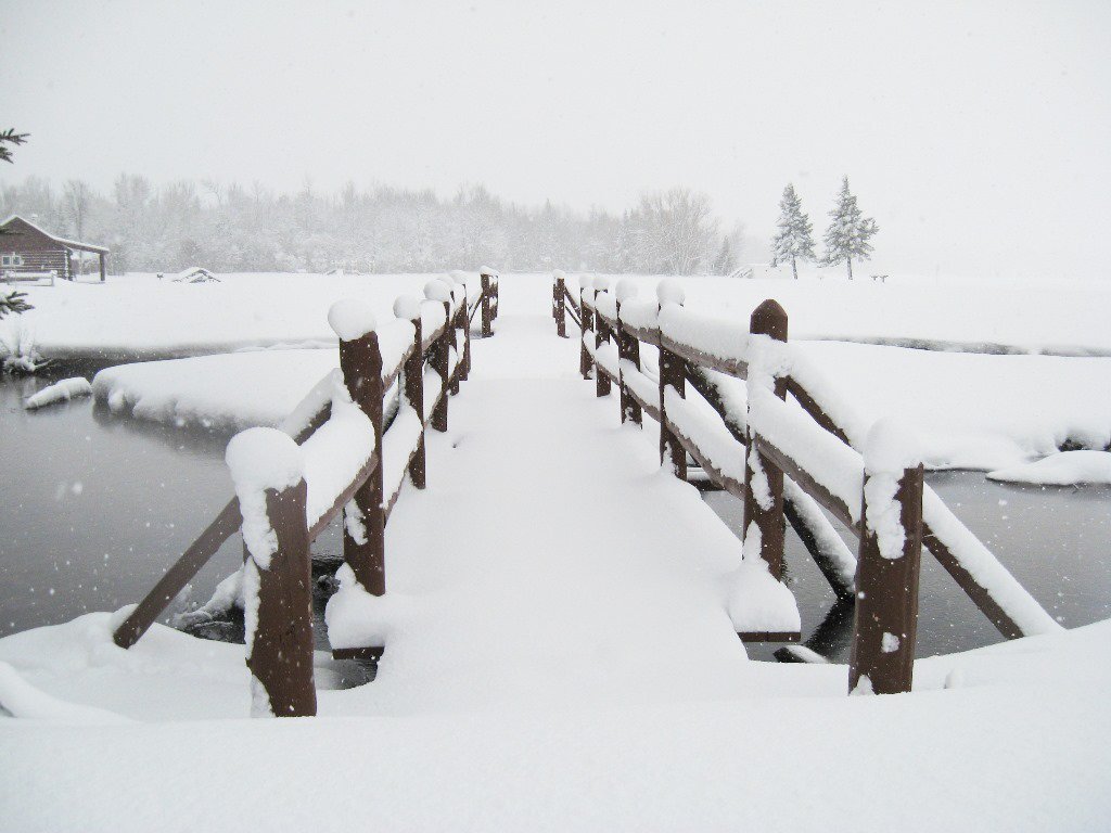 TJCProperties's tweet photo. Snow was falling,
so much 
that one could easily imagine
its reason 4 being was nothing more
than prettiness. Oliver https://t.co/2T9UTeJwoP