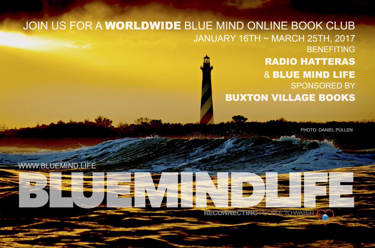 The Blue Mind Movement tweet media