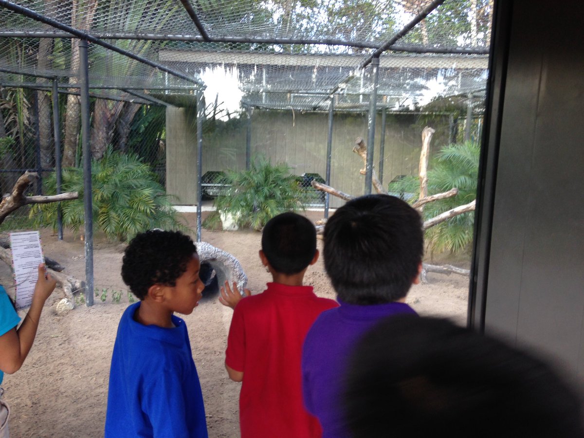 MsMeehan2000's tweet photo. We πhoney badgers, too! π@VOEPanthers #CollierScience #ccpssuccess #ccpssteam #napleszoo https://t.co/3WIK4GNMEe