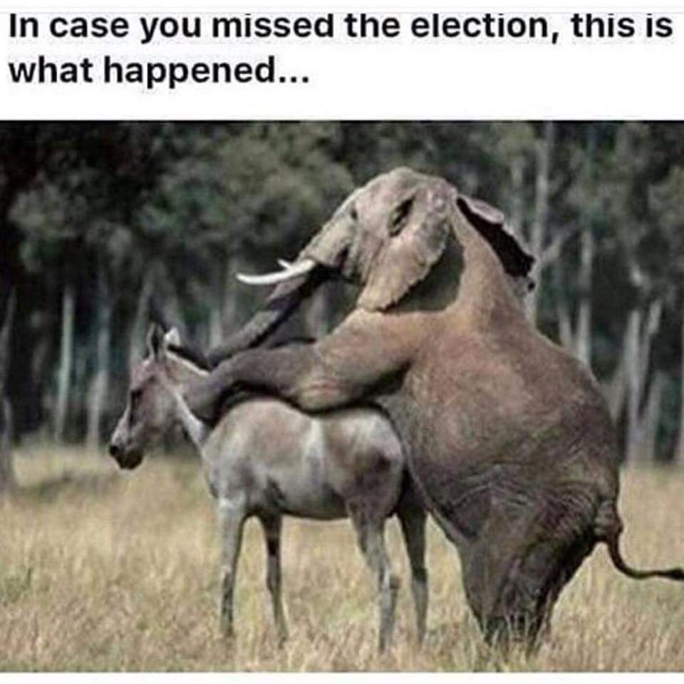 Cwtkns's tweet photo. @PrisonPlanet Attention: Urgent news flash for all Liberals #Maga #TRIGGER2016 https://t.co/b5PQQpRd2U
