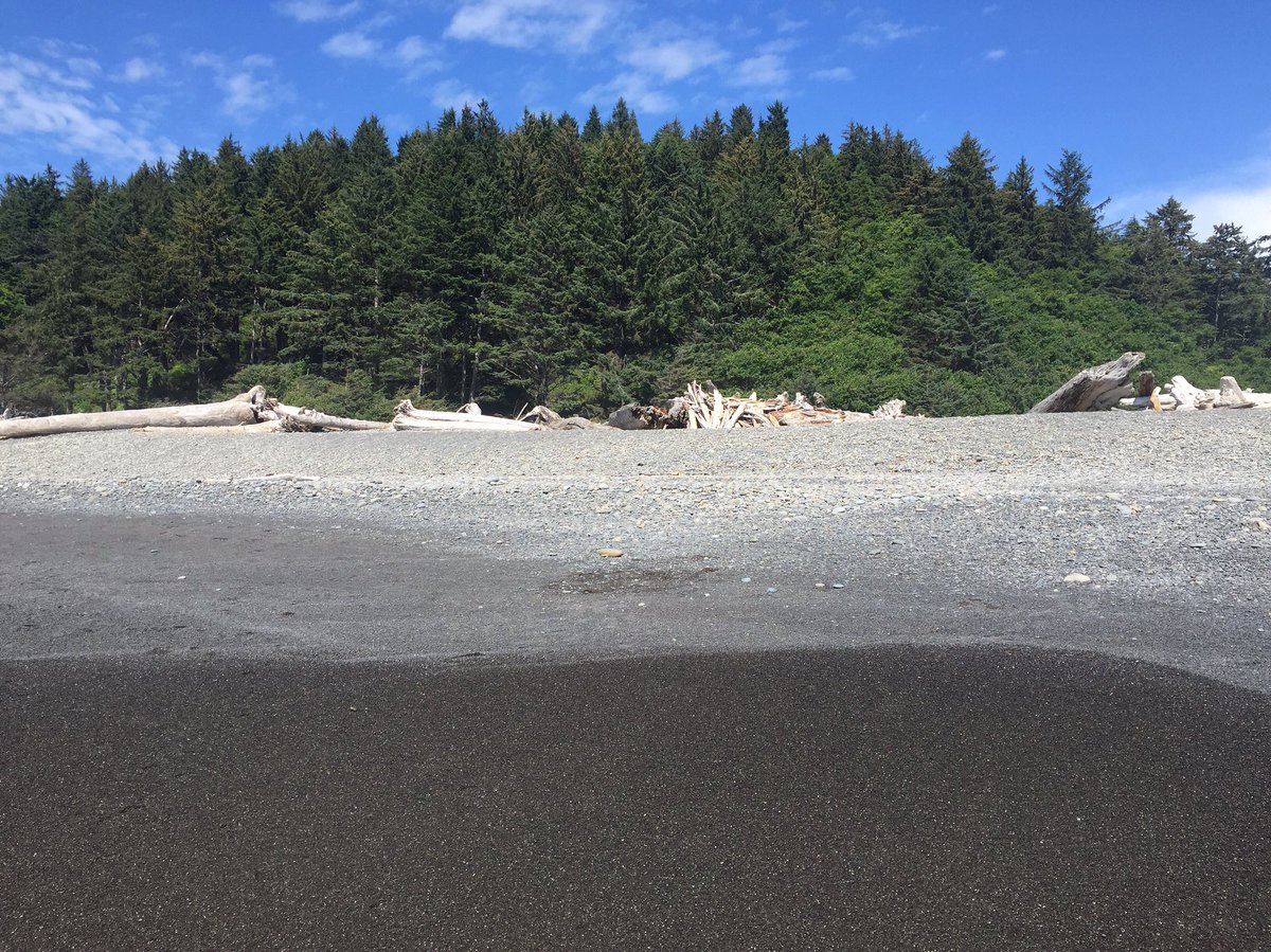 jacob_milan's tweet photo. Rialto Beach, Olympic National Park  https://t.co/louOSxYQMa #especialistadelterreno #Geology #ParticleSizeDistribution https://t.co/JJMaaWgoEB