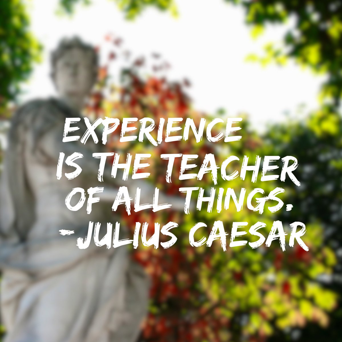 Stylelife's tweet photo. Experience is the teacher of all things. - Julius Caesar https://t.co/ErHxupB1Pm