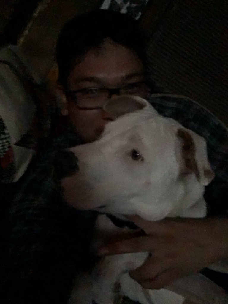 AaronAdson's tweet image. Feels so dope just to be home for the Holidays. Missed my Pooch we just been kicking it all day. #1/2americanbully #1/2APBT #samebreed