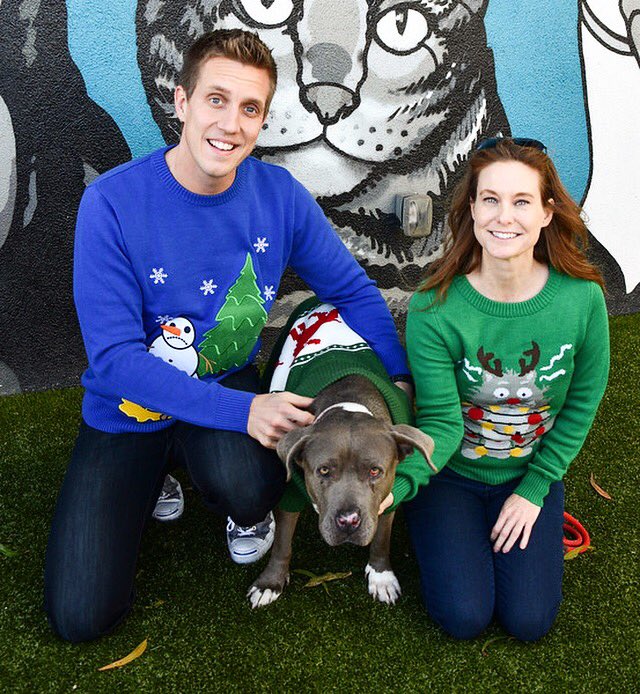 FoundAnimalsOrg's tweet photo. Daisy Duke @RockyKanaka & @aimeegilbreath know alllll about holiday cheer! We're on a mission to find someone to #AdoptDaisy by Christmas! https://t.co/L8rNaItHBC